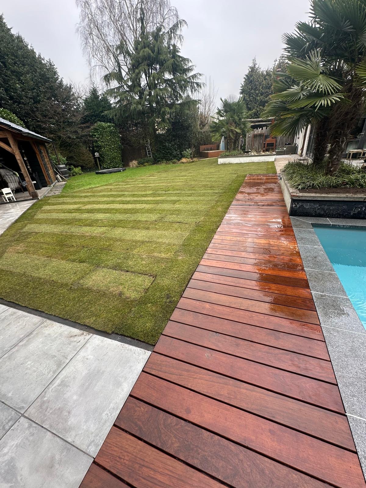 Van Kleef project