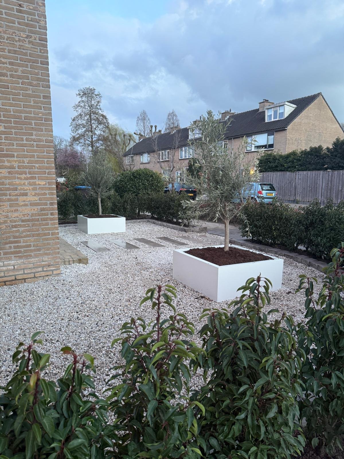 Moderne voortuin - Wit, olijfbomen en split